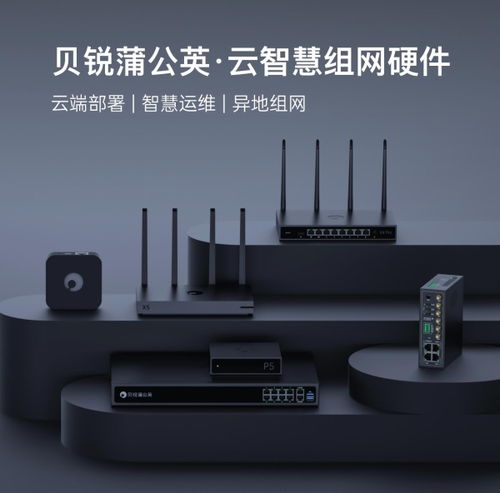 貝銳蒲公英異地組網路由器銷量再奪第一，領跑中國市場